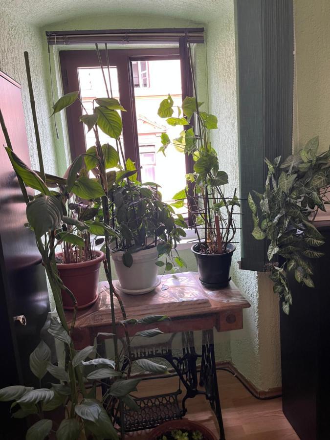 Apartman Lora Apartment Rijeka Bagian luar foto