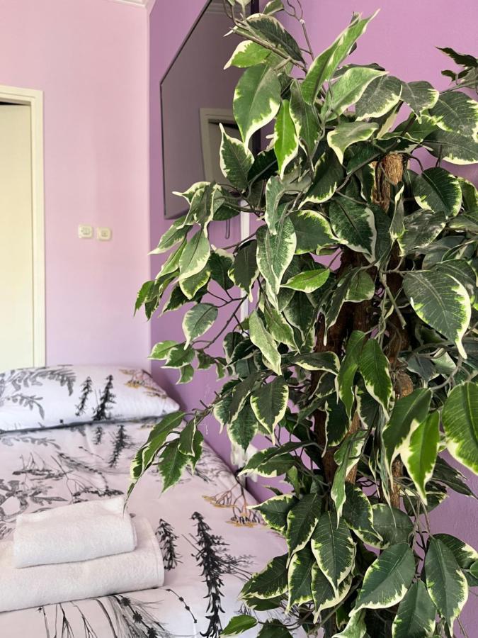 Apartman Lora Apartment Rijeka Bagian luar foto